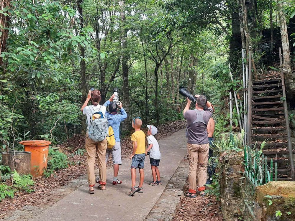Full-Day Bach Ma National Park Group Tour © 2024 V-Explorer®