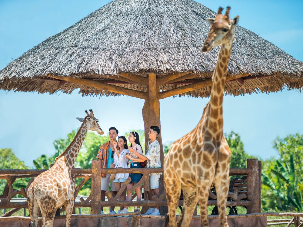 Vinpearl Nam Hội An Wild Safari, Water Activities, and Immersive Culture © 2024 V-Explorer® All rights reserved.