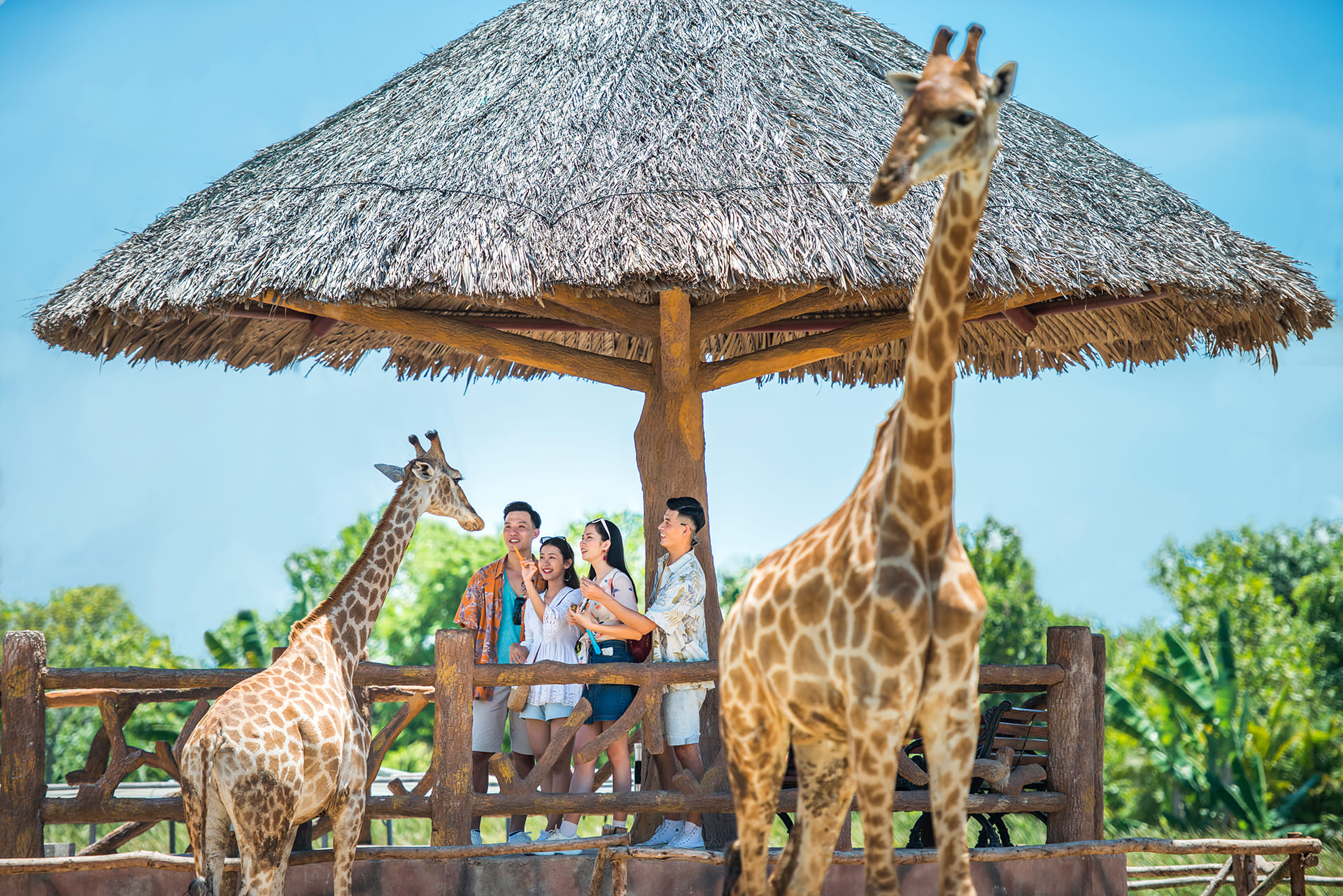Vinpearl Nam Hội An Wild Safari, Water Activities, and Immersive Culture © 2024 V-Explorer® All rights reserved.